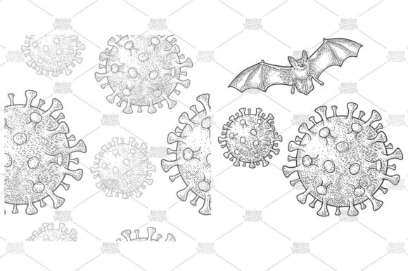 Download Coronavirus Bacteria Cell Bat Engraving - Virus Collection